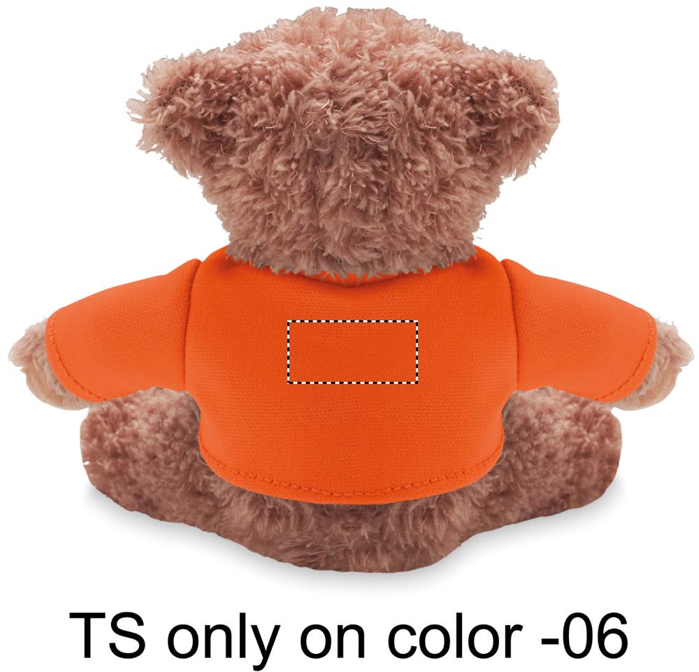 Orsetto con maglietta back 10