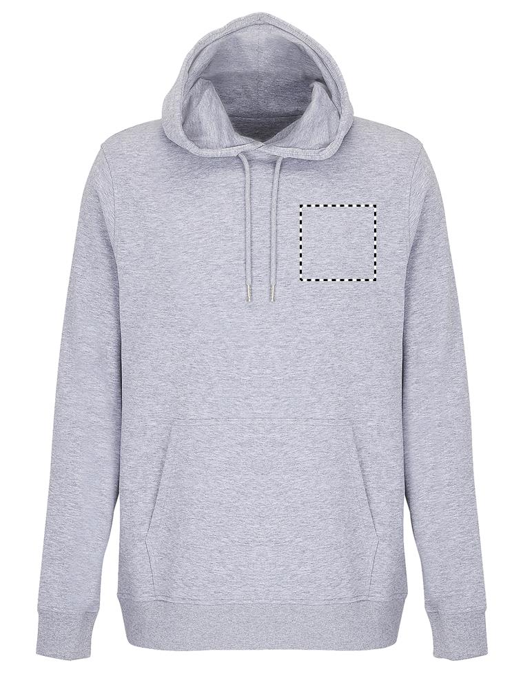 CONSTELLATION HOOD SWEAT chest gy