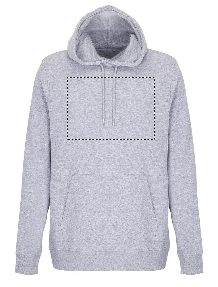 CONSTELLATION HOOD SWEAT front gy