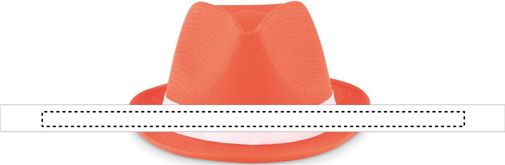 Coloured polyester hat band transfer 10