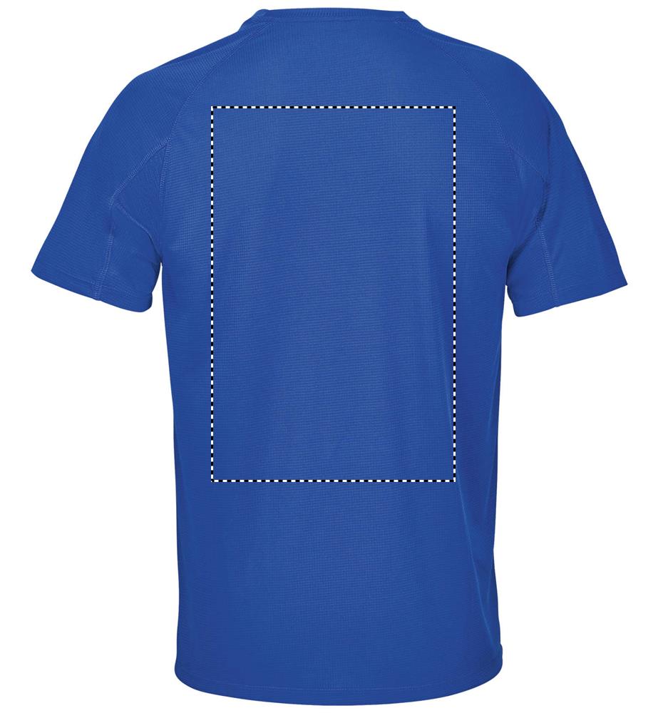 VORTEX RAGLAN T-SHIRT back rb