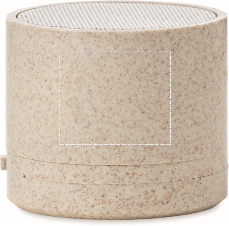 Speaker wireless in paglia side 2 13