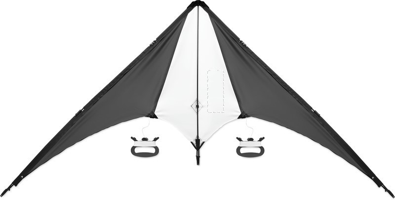 Aquilone Delta kite 03