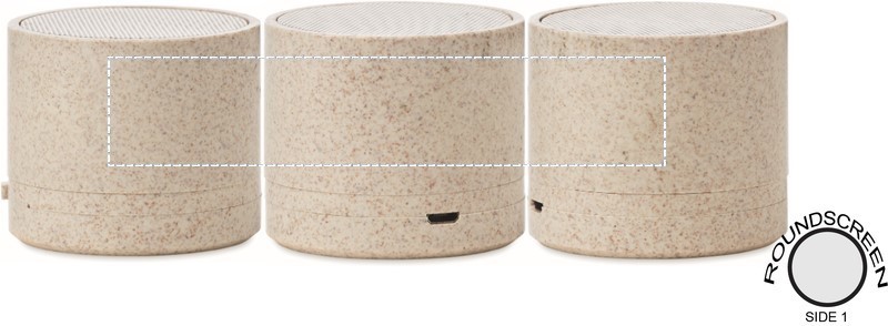 Speaker wireless in paglia roundscreen 13