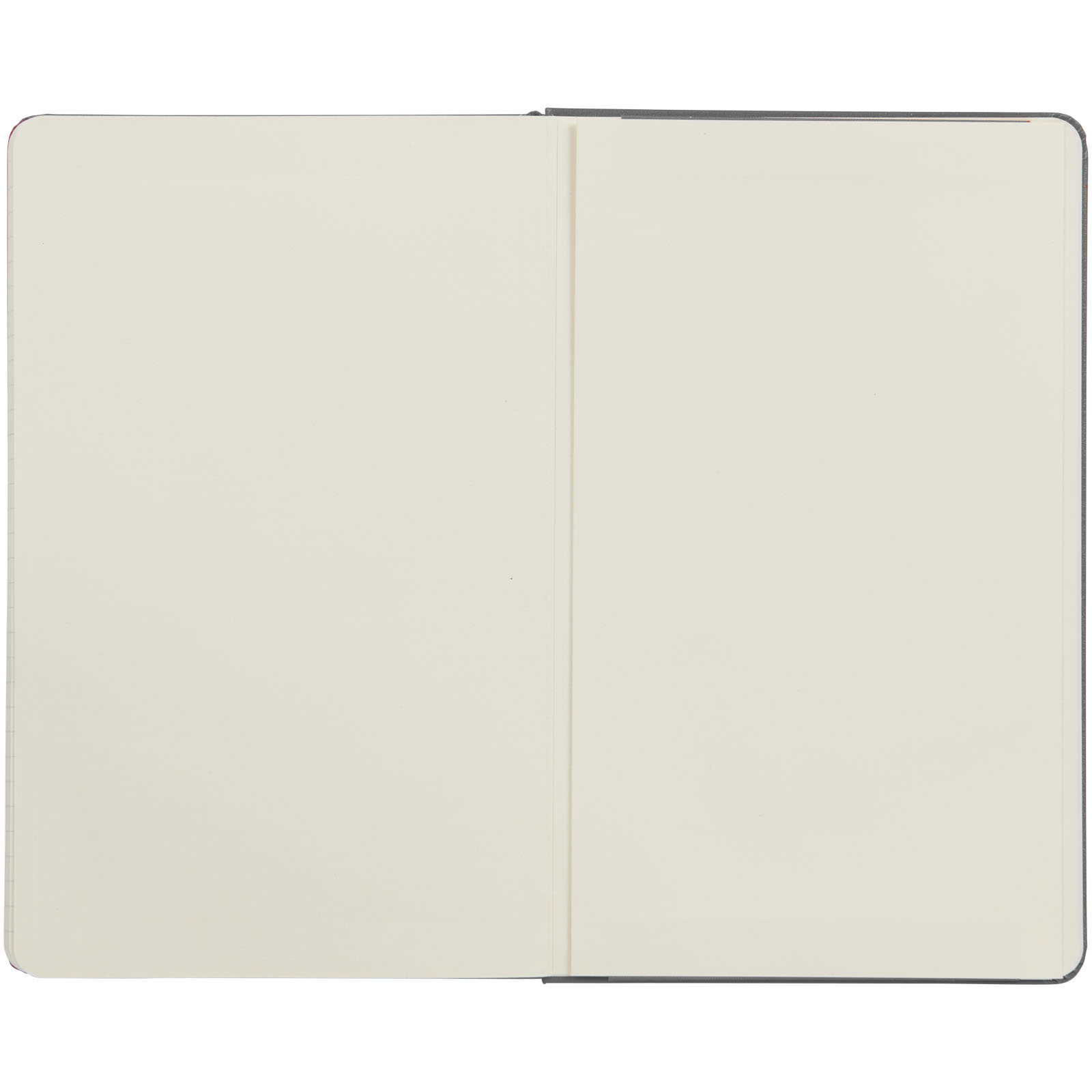 Blocco note con copertina rigida - a righe Moleskine Classic L Grigio Ardesia