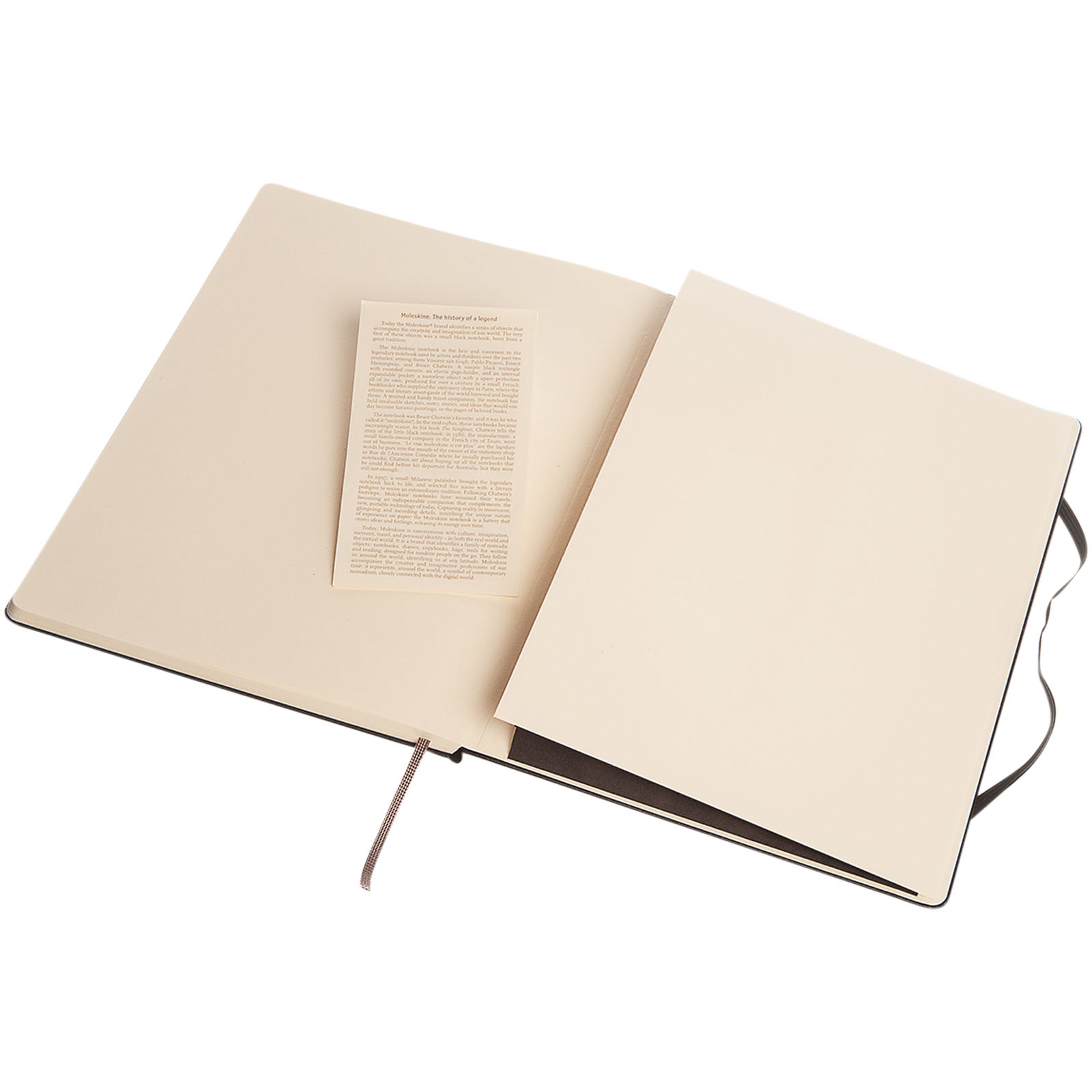 Blocco note con copertina rigida - a righe Moleskine Classic XL Nero