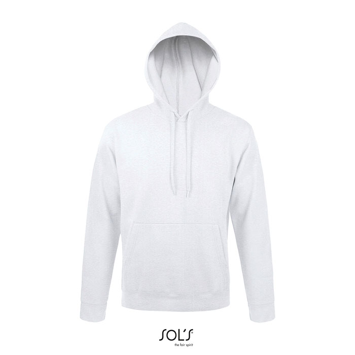 SNAKE HOOD SWEATER 280g ash item picture front