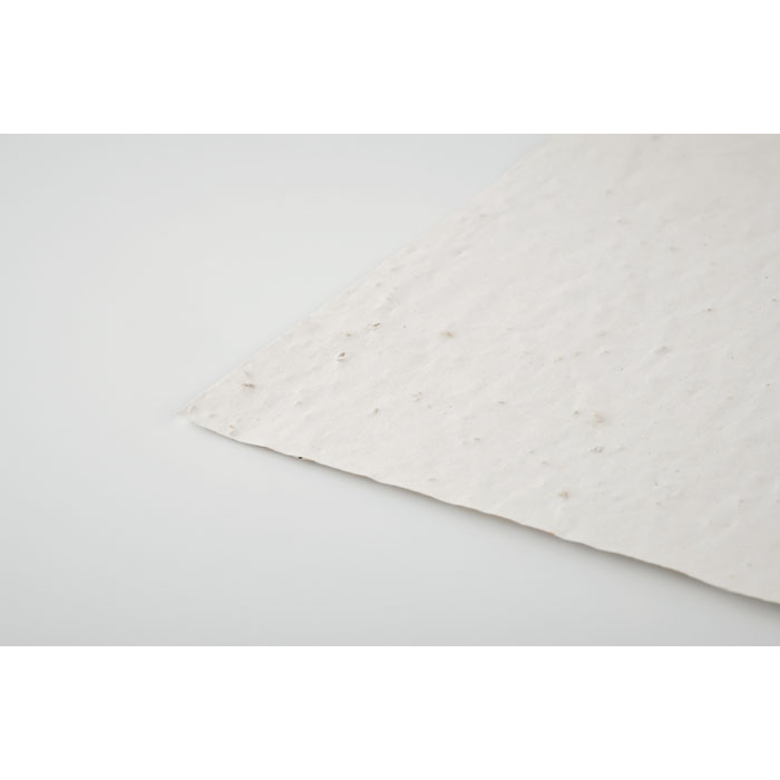 Foglio A5 in carta con semi Bianco item detail picture