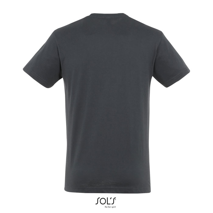REGENT Uni T-Shirt 150g Grigio Topo item picture back