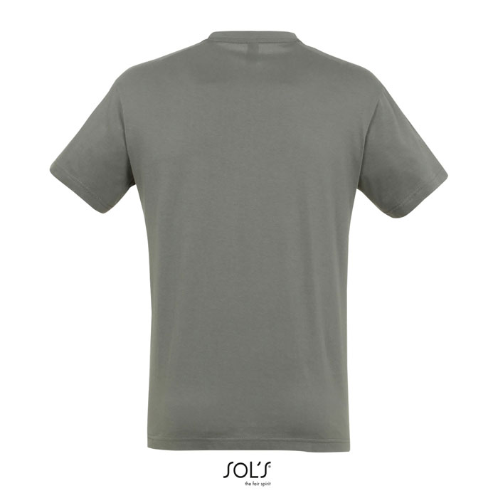 T Shirt REGENT Uni 150g Zinc item picture back