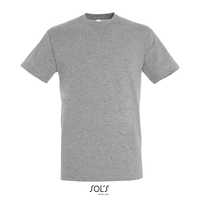 REGENT UNISEX T-SHIRT 150g grey melange item picture front