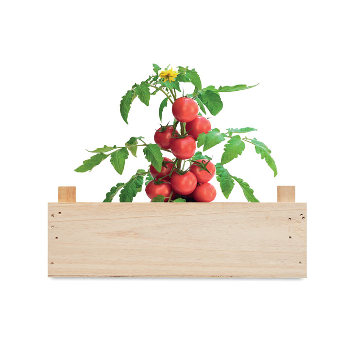 Tomato kit in wooden crate Legno item picture top
