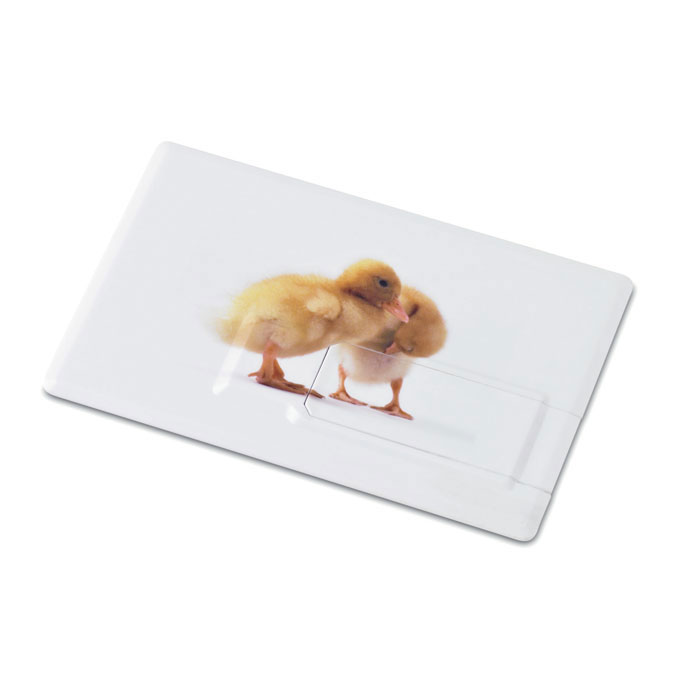 Creditcard. USB flash 16GB Bianco item picture back