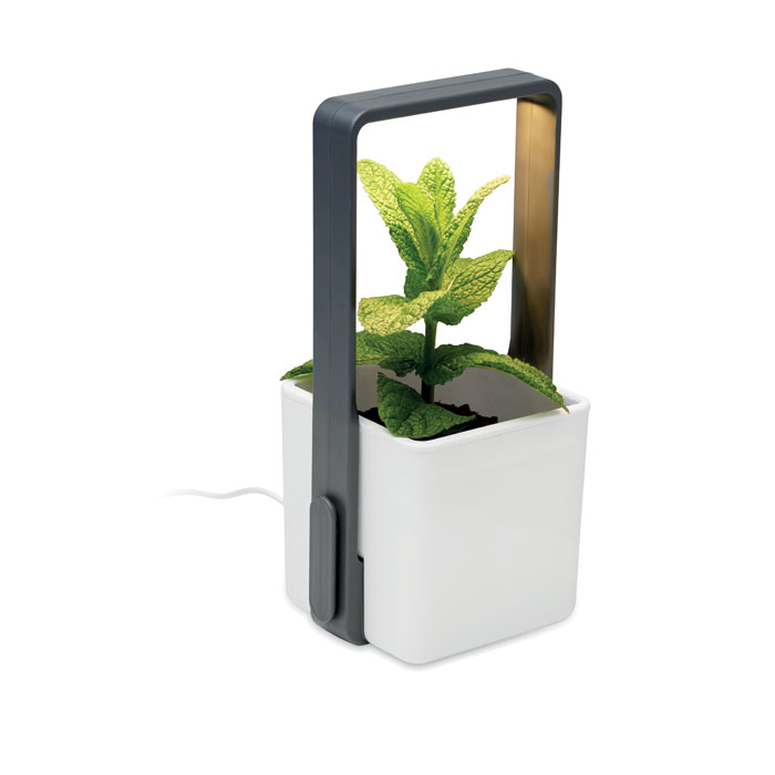 Giardino interno con luce LED Bianco item picture 6