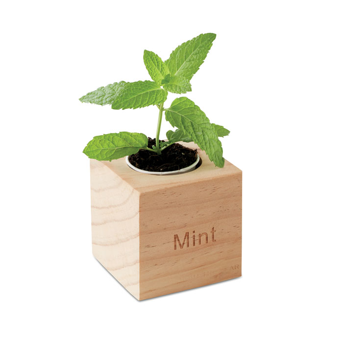Herb pot wood "MINT" Legno item picture side