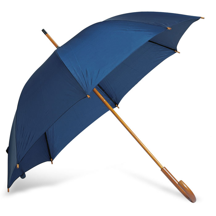 23 inch umbrella Blu item picture top