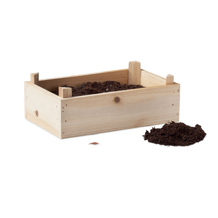 Kit per coltivare fragole wood item picture side