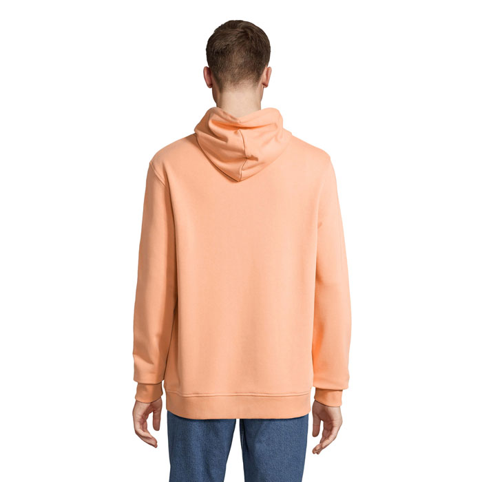 CONSTELLATION HOOD SWEAT Pesca item picture back