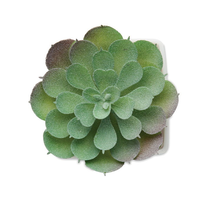 Mini pianta artificiale Bianco item picture side