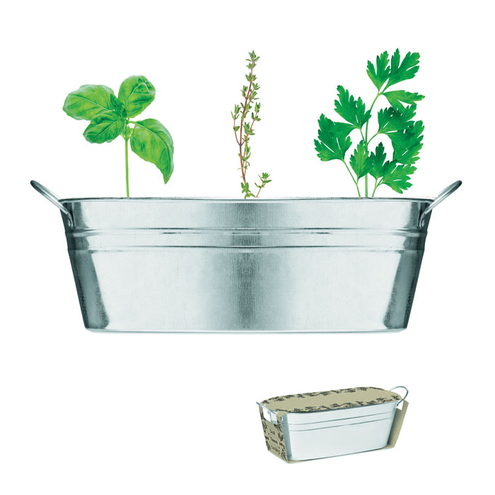 Zinc tub with 3 herbs seeds Argento Opaco item picture front
