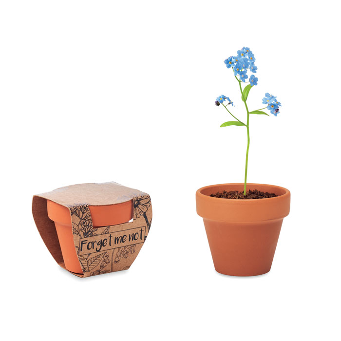 Terracotta pot 'forget me not' Legno item picture front