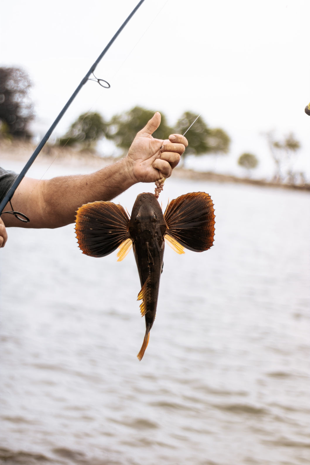 Lure of urban fishing draws anglers to Halifax waterfront