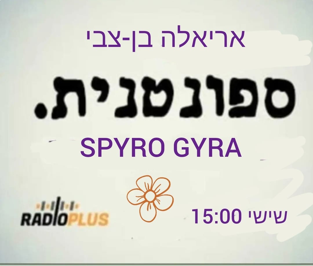 ספונטני