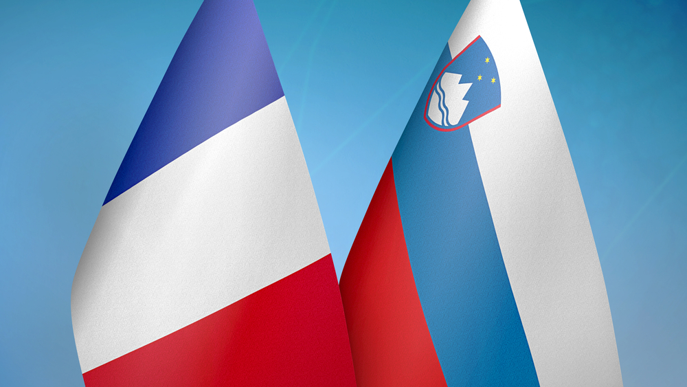 France,And,Slovenia,Two,Flags,Together,Blue,Background,3d,Rendering,Francia-Slovenia