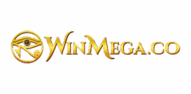 Recensione completa WinMega