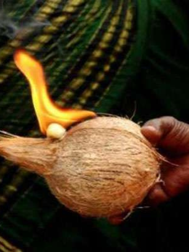 पूजा और शुभ काम में नारियल क्यों चढ़ाया जाता है?