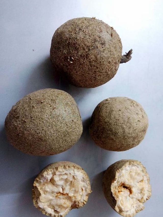 कैथा खाने के मिलते है जबरदस्त फायदे