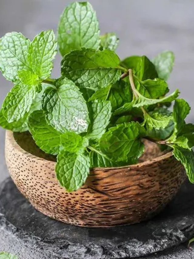 रोज़ाना सुबह खाली पेट पुदीने की पत्तियां चबाने से क्या होता है ?