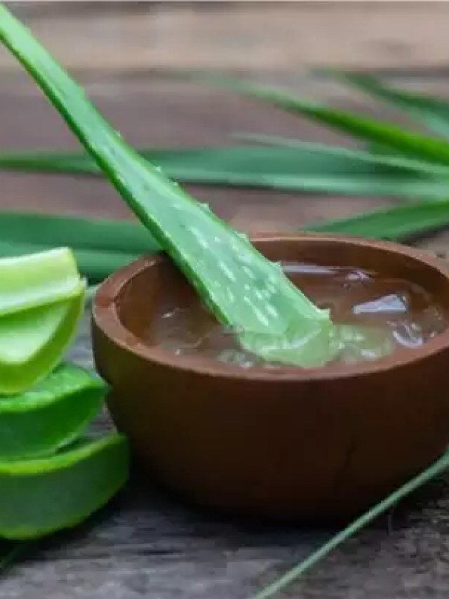 खुजली और जलन के लिए एलोवेरा जेल का ऐसे करे इस्तेमाल
