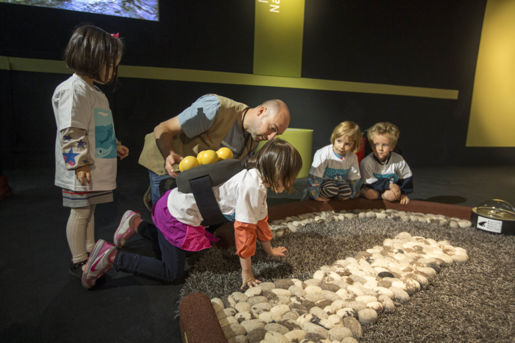 Baby Animals Exhibition On Teo