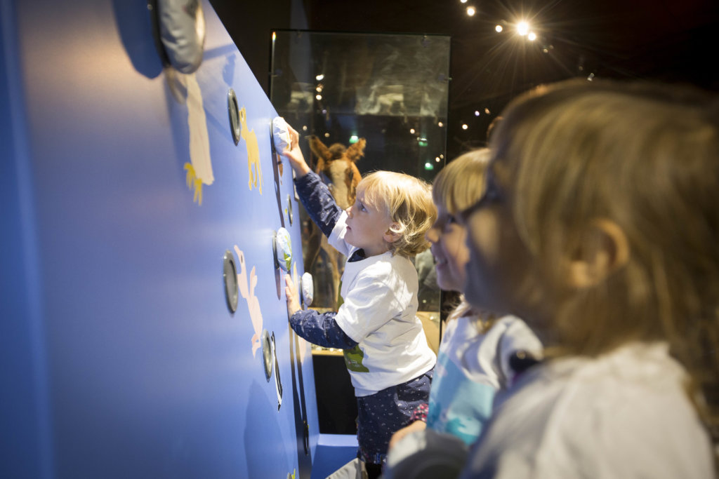 Baby Animals Exhibition On Teo