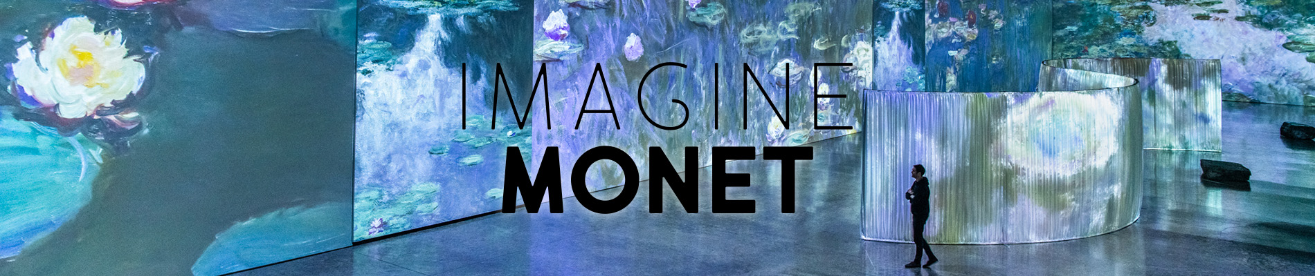 Imagine Monet : The immersive exhibition