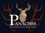 Panaches: caribous et autres cervidés / Panache : caribou and other cervids of Canada