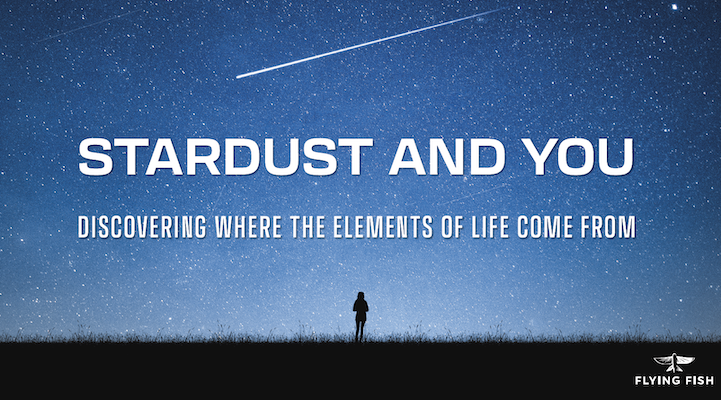 Stardust and You