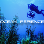 OceanXperience