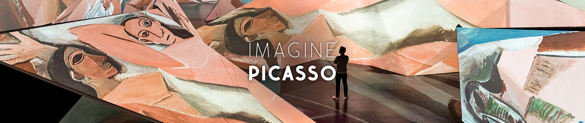Imagine Picasso