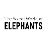 The Secret World of Elephants