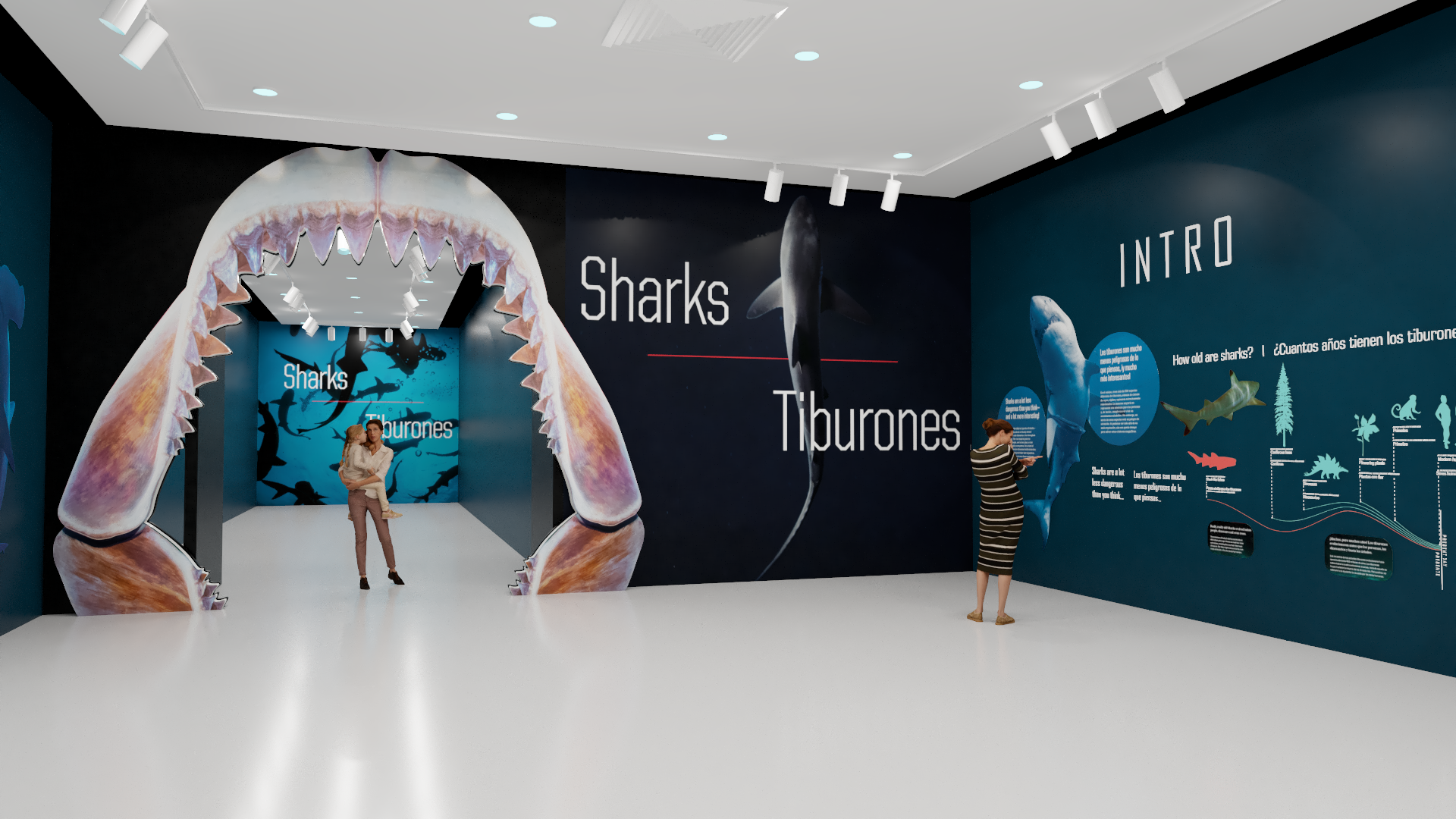 Museum gallery displaying Sharks 2D panel exhibition.