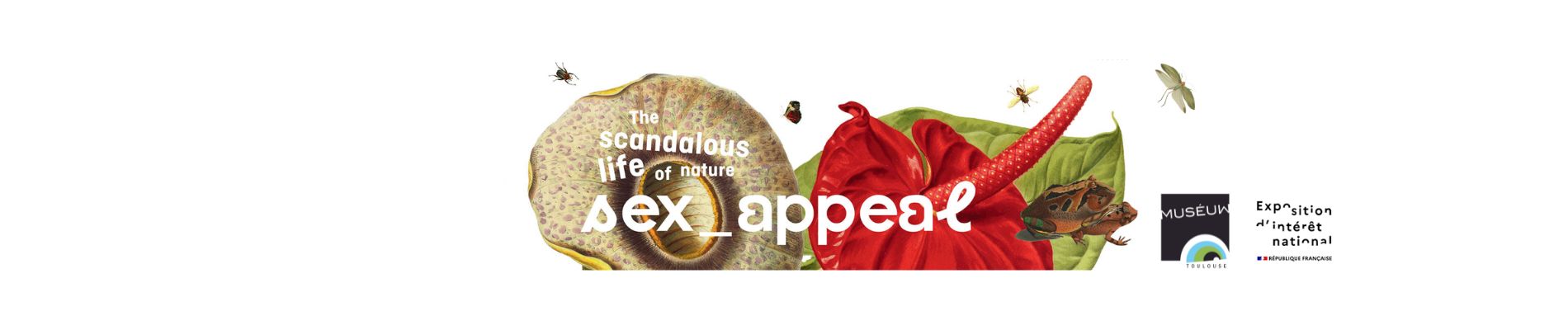 Sex Appeal, the scandalous life of nature