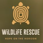 Wildlife Rescue – Hope on the horizon