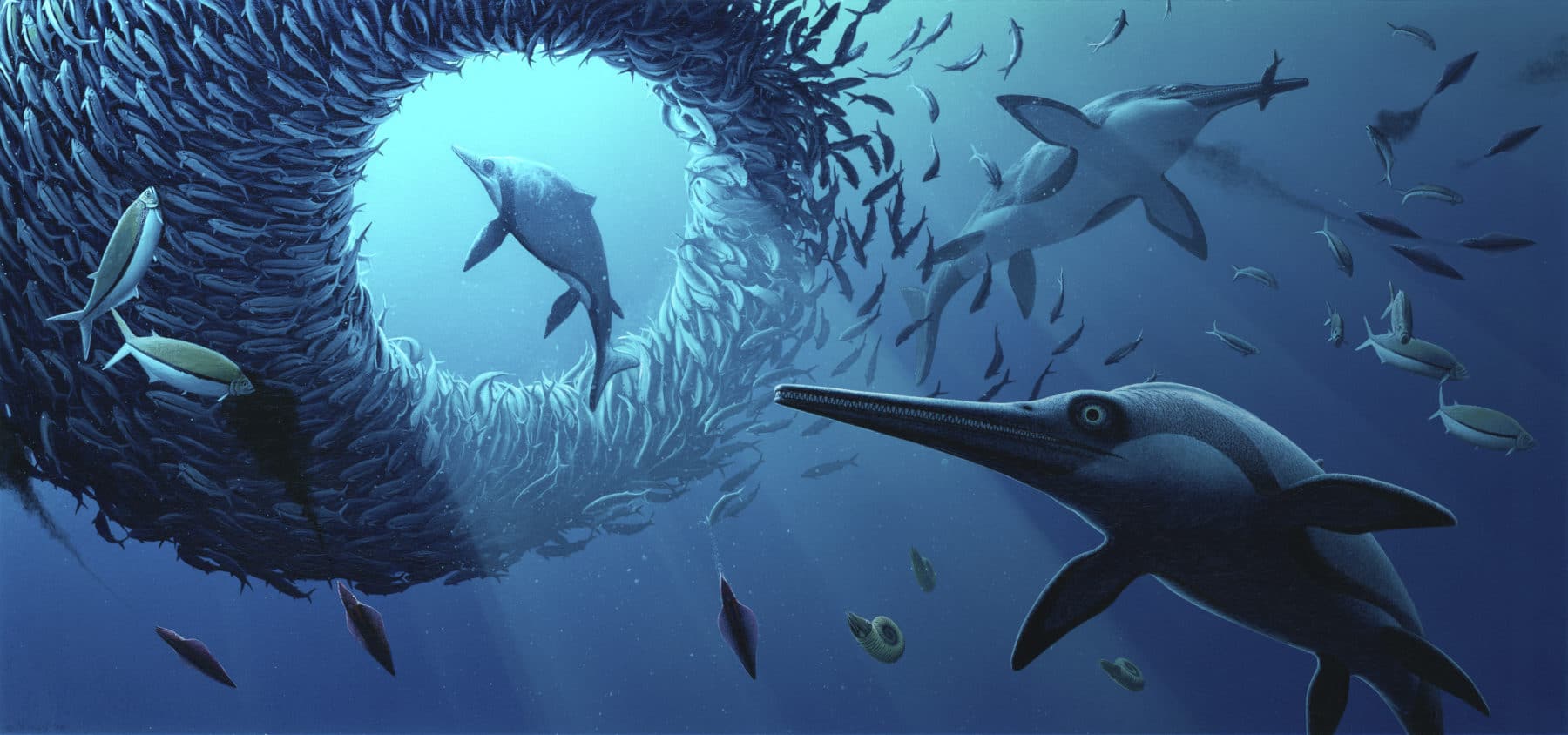 Jurassic Oceans: Monsters of the Deep