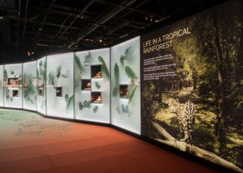 Maya exhibition opening at the Royal BC Museum