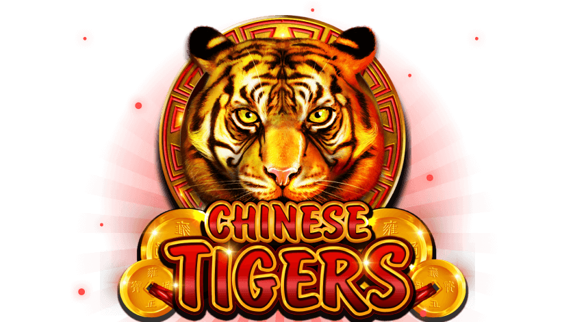 chinese tigers