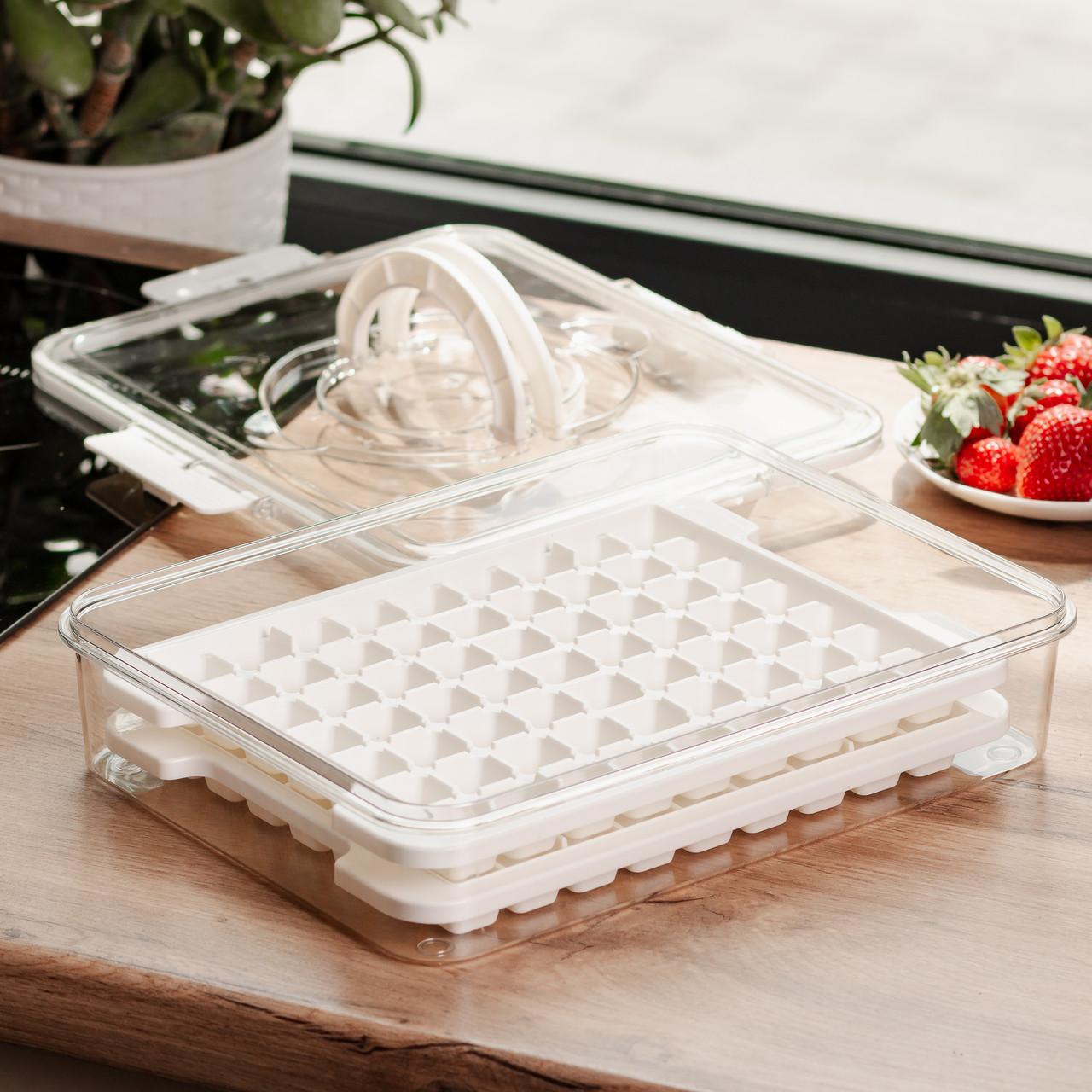 Контейнер для заморозки фруктов и кубиков льда с прочной крышкой и фиксаторами