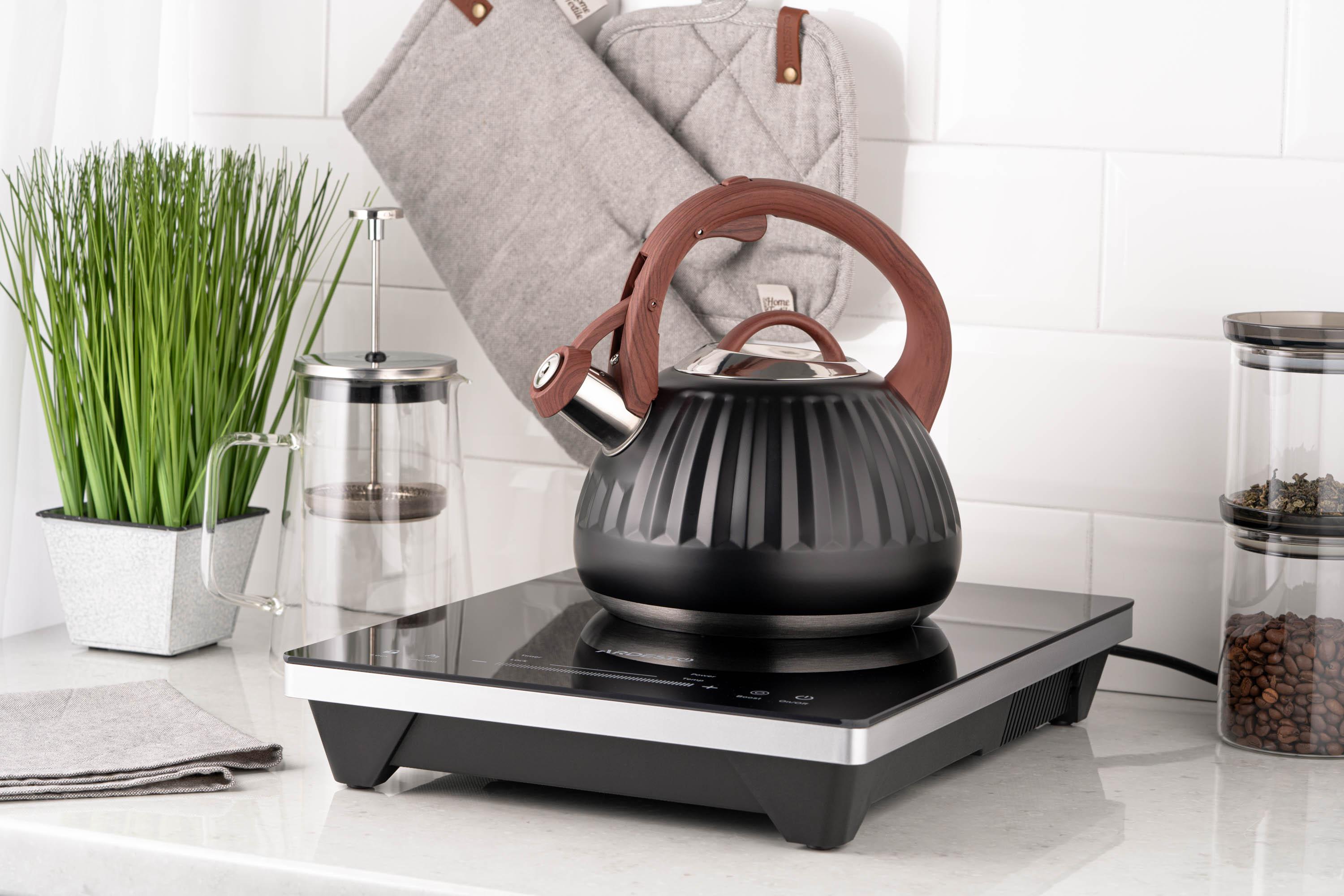 чайник для индукционной плиты 2.5 л — ARDESTO Gemini на индукционной плите