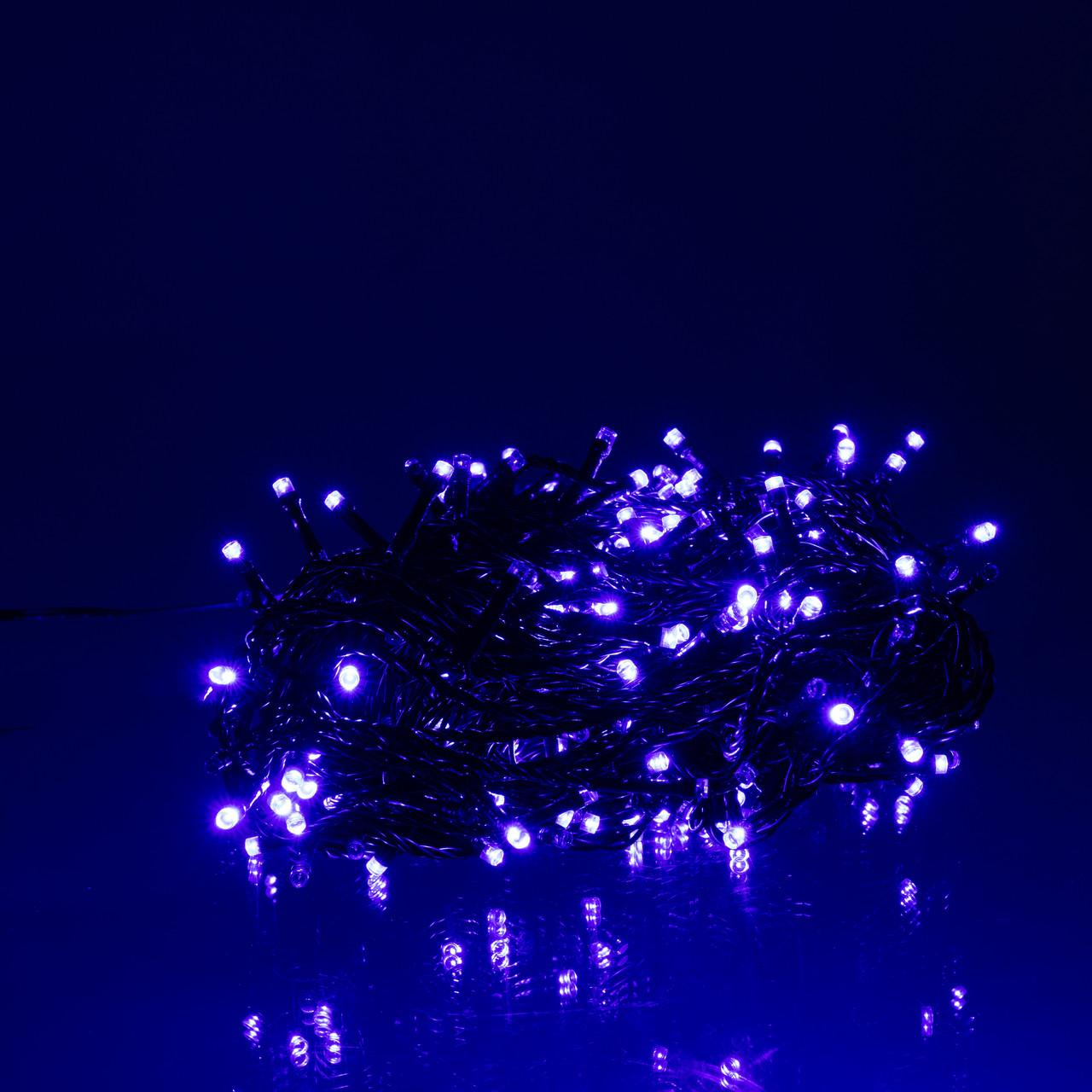 Крупный план синей светодиодной гирлянды нить 300 LED с черным проводом — детальный вид лампочек